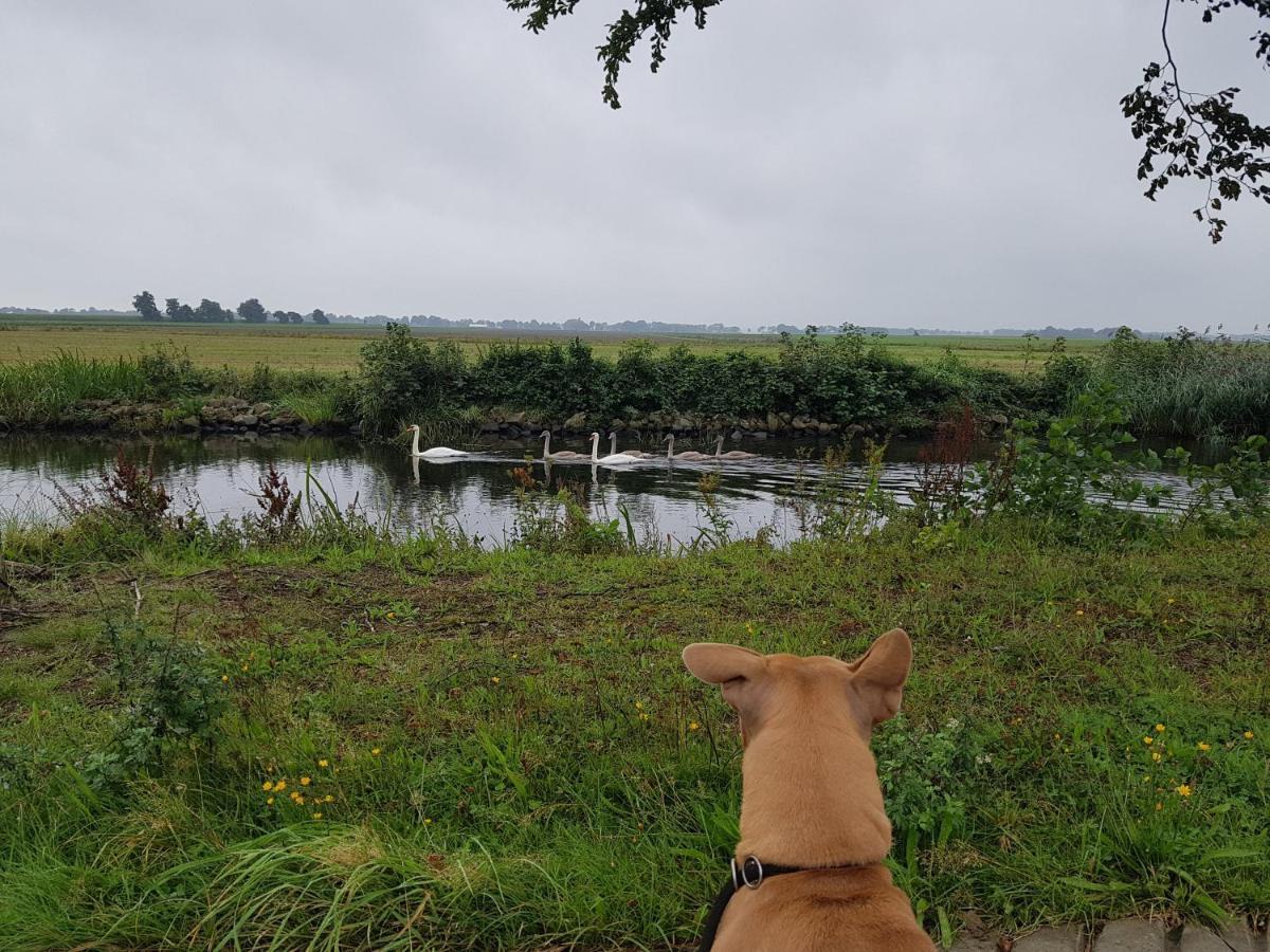 Drenths Landgoed, Welkom Thuis Annerveenschekanaal 外观 照片